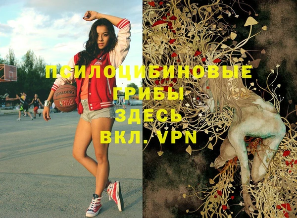 кокаин Новозыбков
