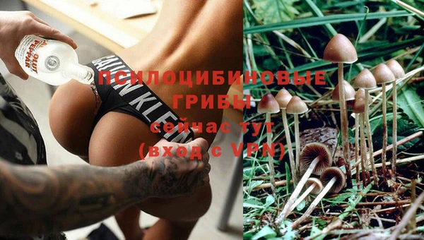 кокаин Новозыбков