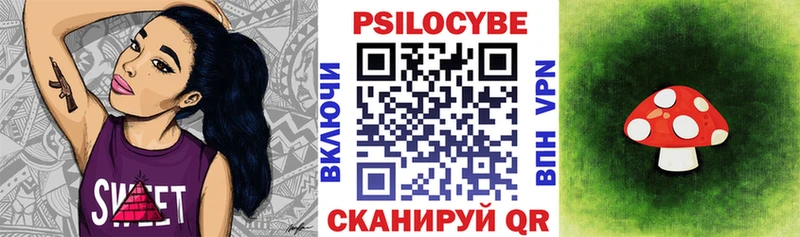 Псилоцибиновые грибы Cubensis  Новозыбков 