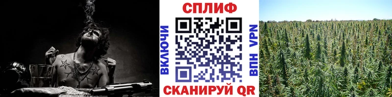 Конопля THC 21%  Новозыбков 